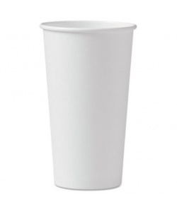 Verre recyclable en carton blanc 16 oz