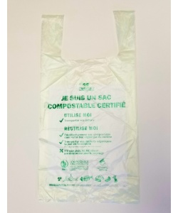 Sac de magasinage vert transparent 11 X 6 X 21”